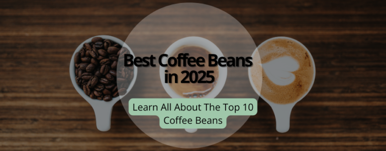 Best coffee beans in 2025: The image shows three cups: one with beans, one with coffee and one with coffee and creamer.